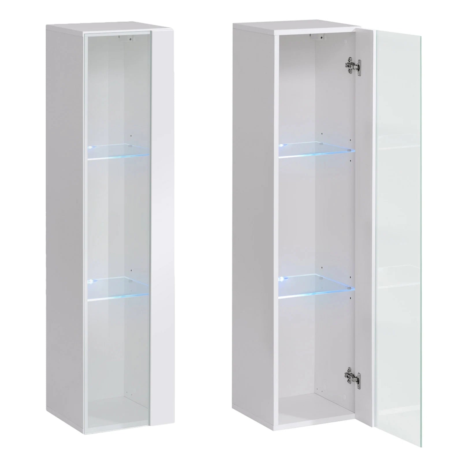 Art 01 Display Cabinet